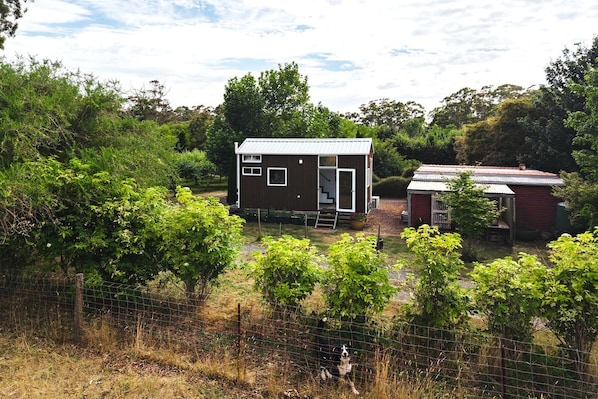 A small, single-story wooden house with a metal roof, surrounded by dense greenery and a fenced yard.