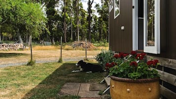 A house with a dog lying on the grass, a wooden fence, and a large planter with red flowers.