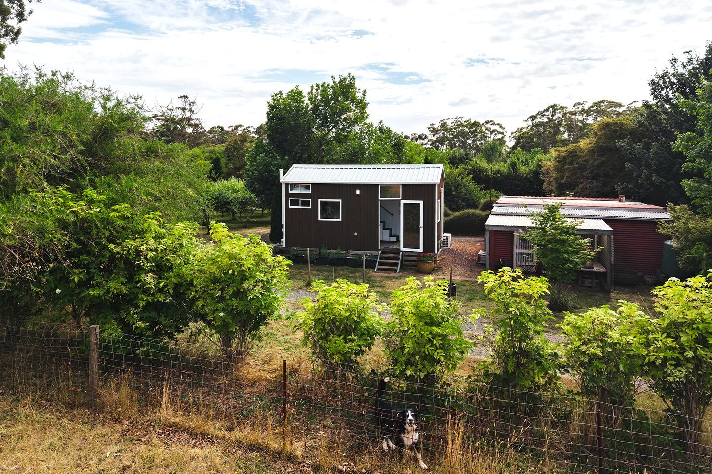 A small, single-story wooden house with a metal roof, surrounded by dense greenery and a fenced yard.