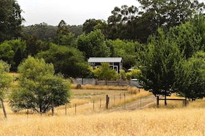A rural landscape with a single building surrounded by trees and a fenced area.
