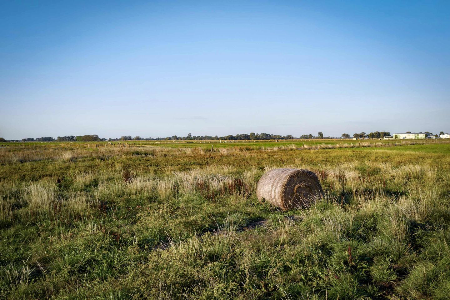 A rural landscape with a hay bale in the foreground and a clear sky.