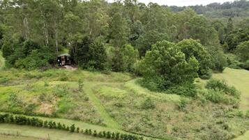 A rural landscape with a house surrounded by dense trees and rolling hills.