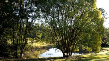 A serene lakeside setting with trees and a small table by the water.