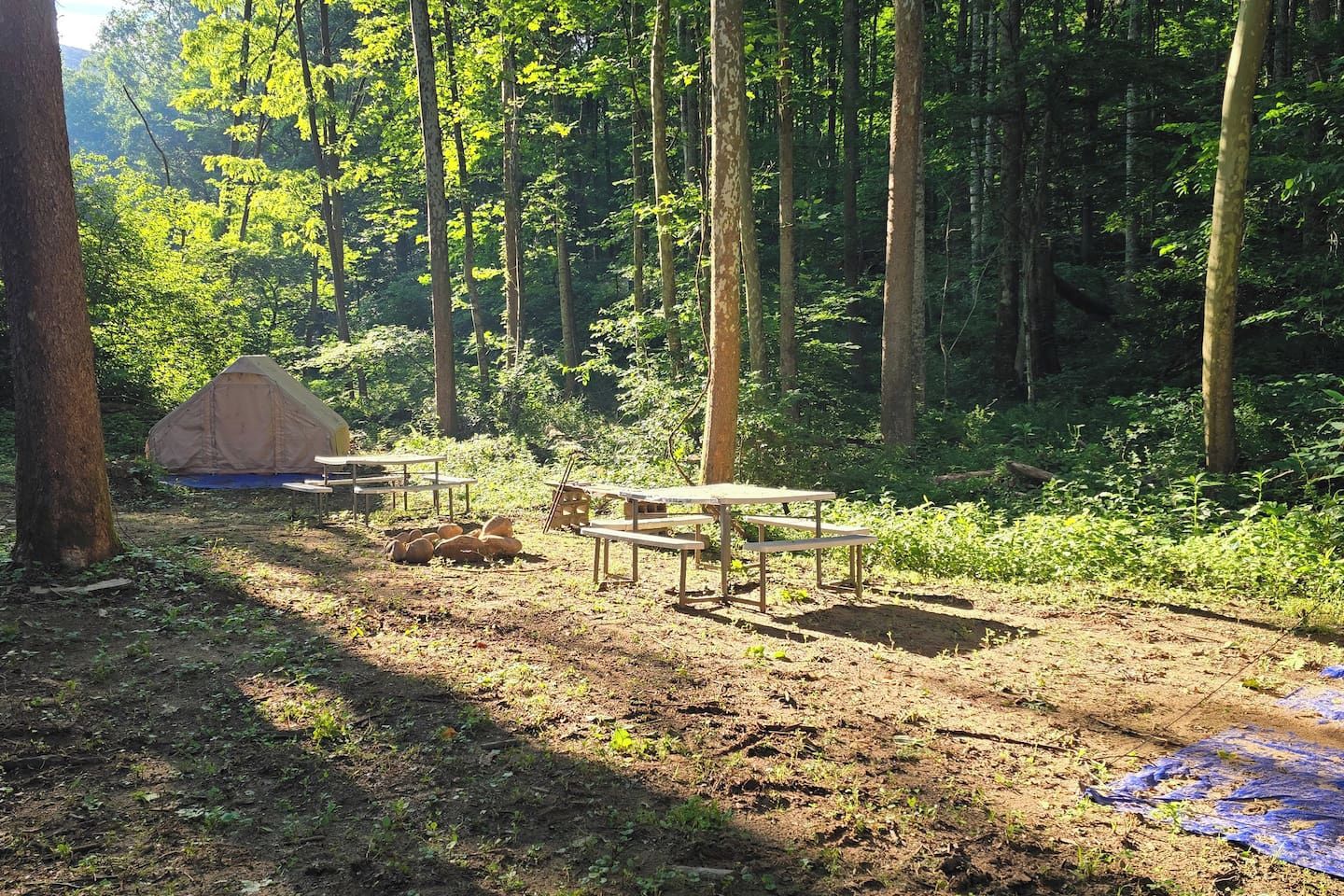 Ein Waldcampingplatz mit Zelt, Picknicktischen und einer blauen Plane am Boden.