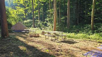 Ein Waldcampingplatz mit Zelt, Picknicktischen und einer blauen Plane am Boden.