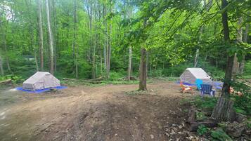 A forest campsite with two tents, a dirt ground, and a blue tarp.