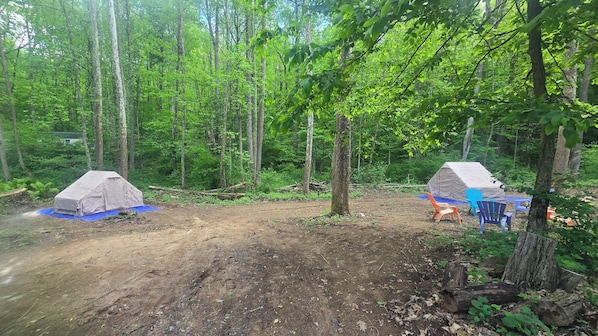 Un terrain de camping en forêt avec deux tentes, un sol en terre et une bâche bleue.