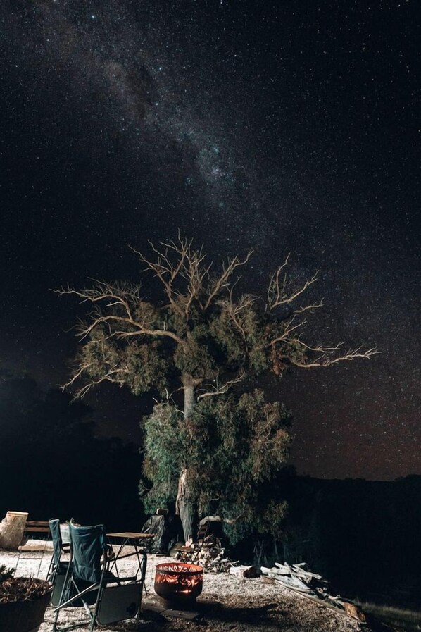 A night scene with a starry sky, a tree, and camping equipment.