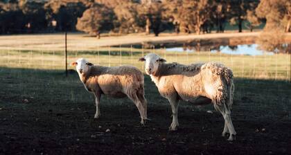 Farm Stay Glamping near the Pyrenees State Forest, Victoria