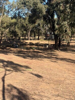 A park with trees, a pond, and benches.
