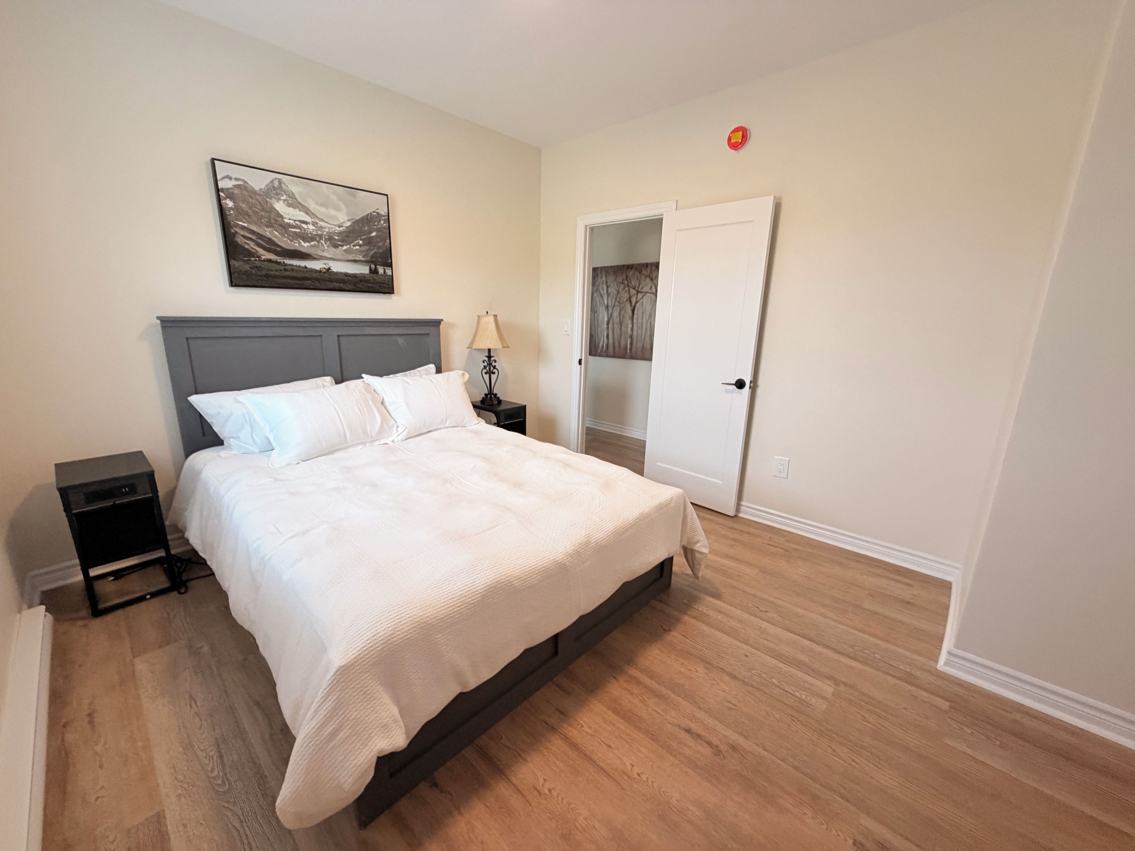 A bedroom with a bed, nightstands, a lamp, a door, and a wall-mounted picture.