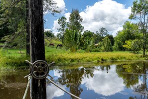 Unclassified image, 4 of 12, button - Heavenly Tiny House Surrounded by Trees in Gympie, Queensland (Gympie)