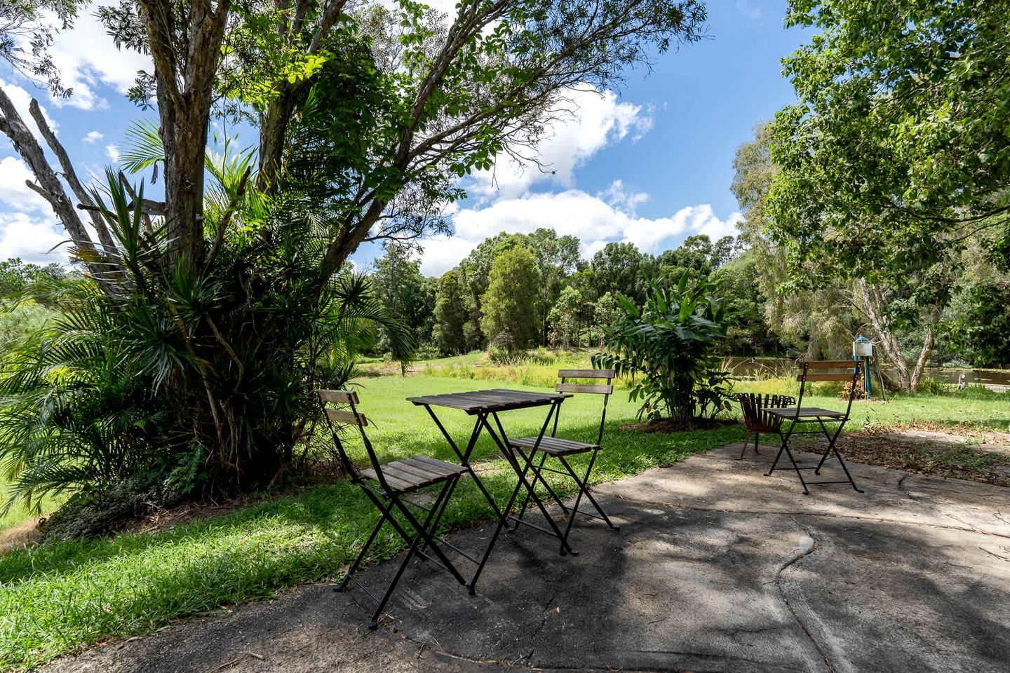 Een terras met tafels en stoelen, omringd door weelderige begroeiing en bomen.