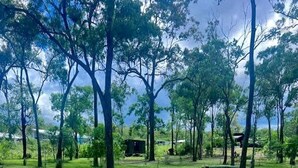 Unclassified image, 3 of 14, button - Relaxing Tiny House Nearby the Beach in Queensland, Australia (Redridge)