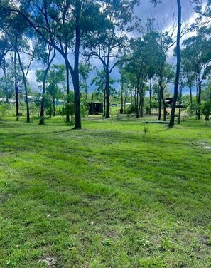 Unclassified image, 3 of 14, button - Relaxing Tiny House Nearby the Beach in Queensland, Australia (Redridge)