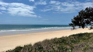 A beach with a clear sky, ocean waves, and vegetation.
