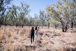 A natural outdoor setting with trees and dry grass.