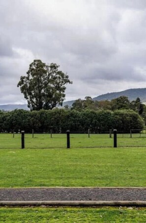 Ein grünes Feld mit einem großen Baum und einem Zaun im Hintergrund.