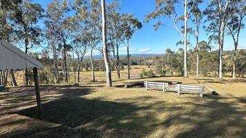 Un espace extérieur verdoyant, avec un banc en bois et une structure blanche, le tout entouré d’arbres.