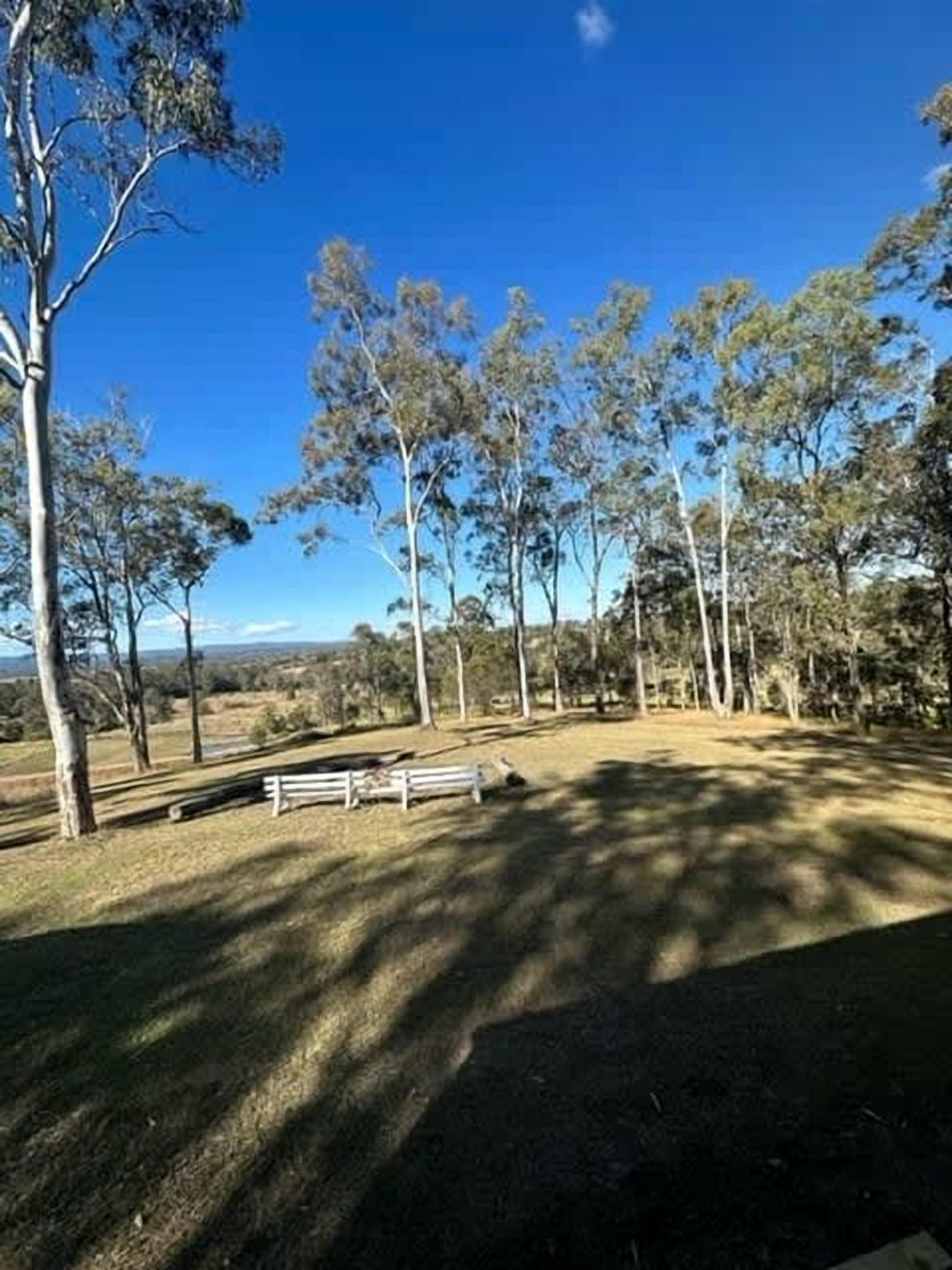Un parco con una panchina, alberi e cielo sereno.