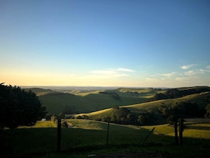Immagine non classificata, 5 di 20, pulsante