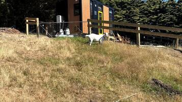 A modern building with a wooden exterior and a fenced area with a horse.