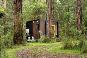 A cabin in a forest with a door, windows, and a small porch area. - Springwater Gardens Tiny Home Rental for a Yarra Valley Holiday (Toolangi)