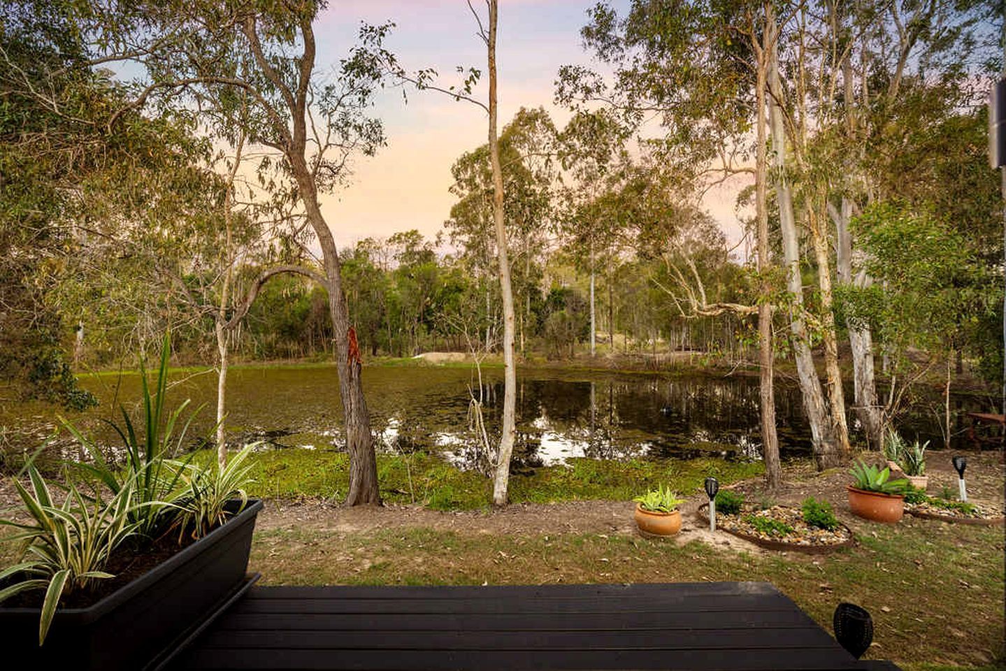 A deck with potted plants overlooking a pond surrounded by trees.