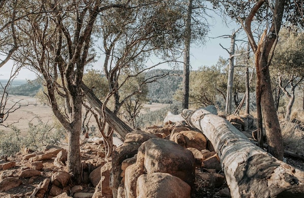 A natural landscape with trees, rocks, and a fallen tree trunk. - Cozy Secluded Tiny House in Warialda, New South Wales (Warialda)