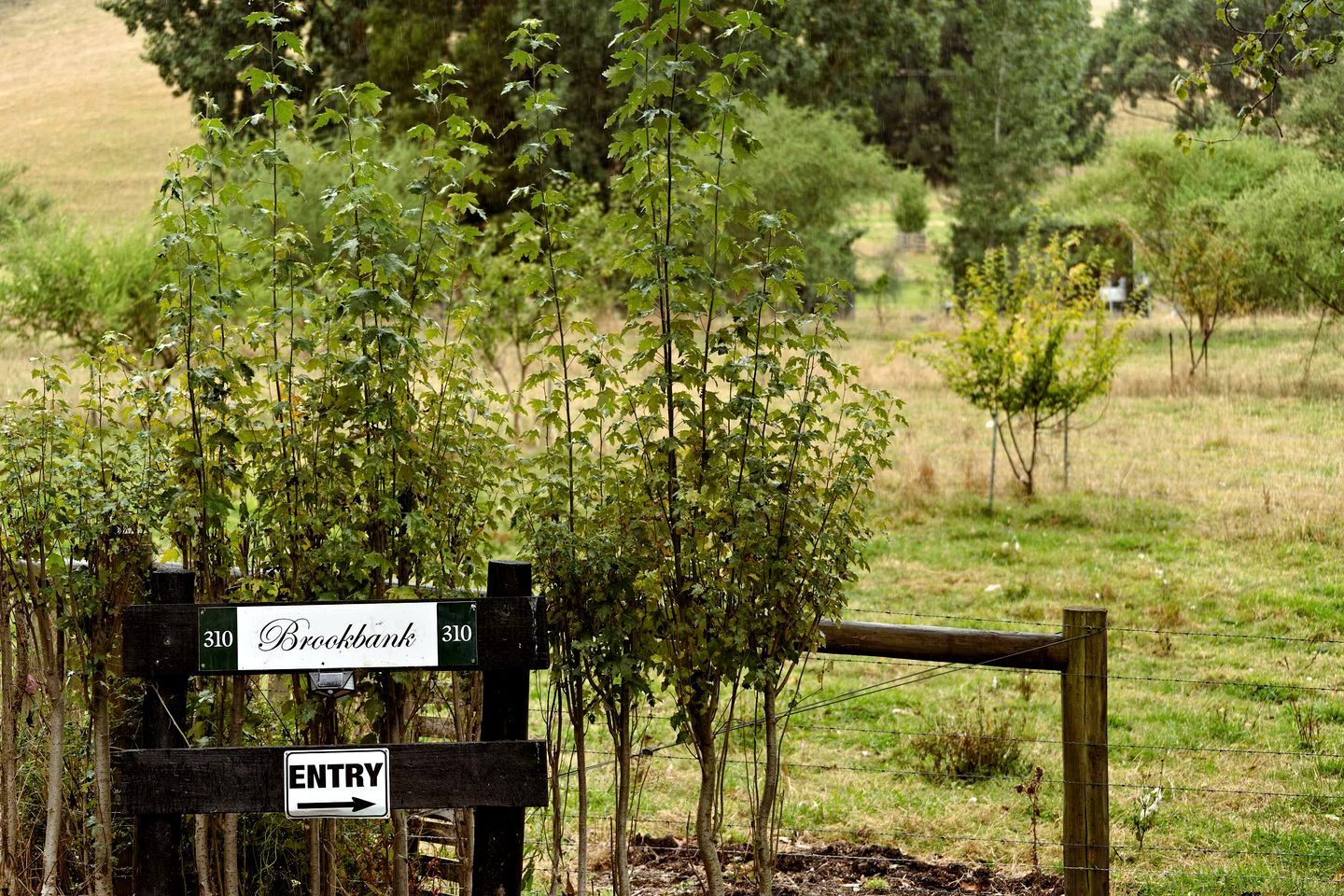 Une porte en bois, sur laquelle on peut lire l’inscription « Brookbank », et un panneau indiquant « ENTRÉE » avec une flèche pointant vers la droite.