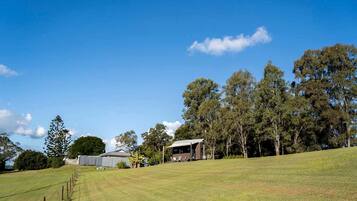 A grassy field with a building and trees in the background.