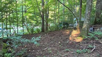 A forested area with a dirt path leading through trees.