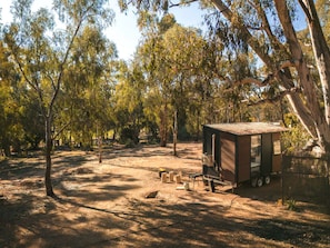 A campsite with a small wooden cabin, a picnic table, and a fire pit.