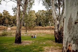 Un parc avec un étang, des arbres et une personne assise sur une couverture.