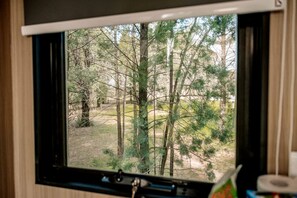 Una ventana con vista a un área boscosa.