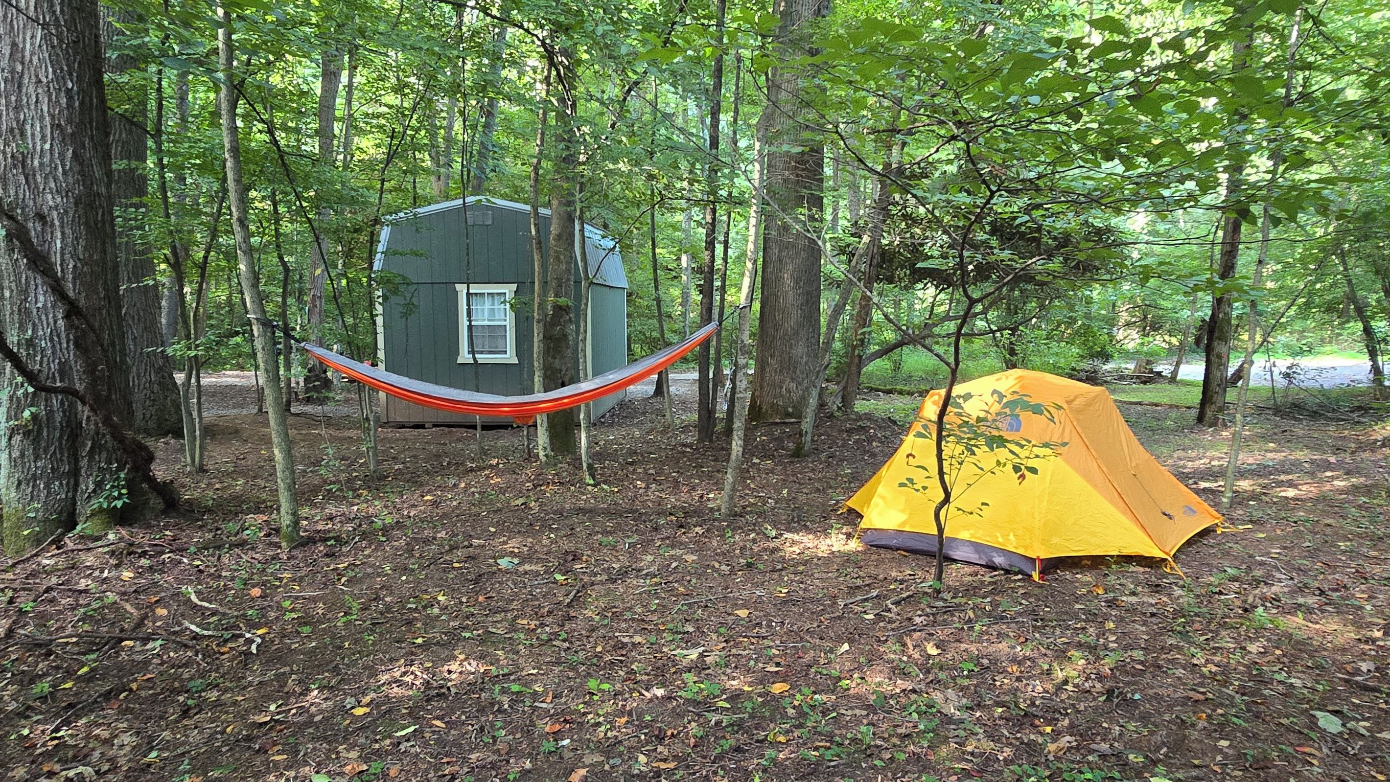 Ein bewaldeter Campingplatz mit einer Hängematte und einem gelben Zelt.