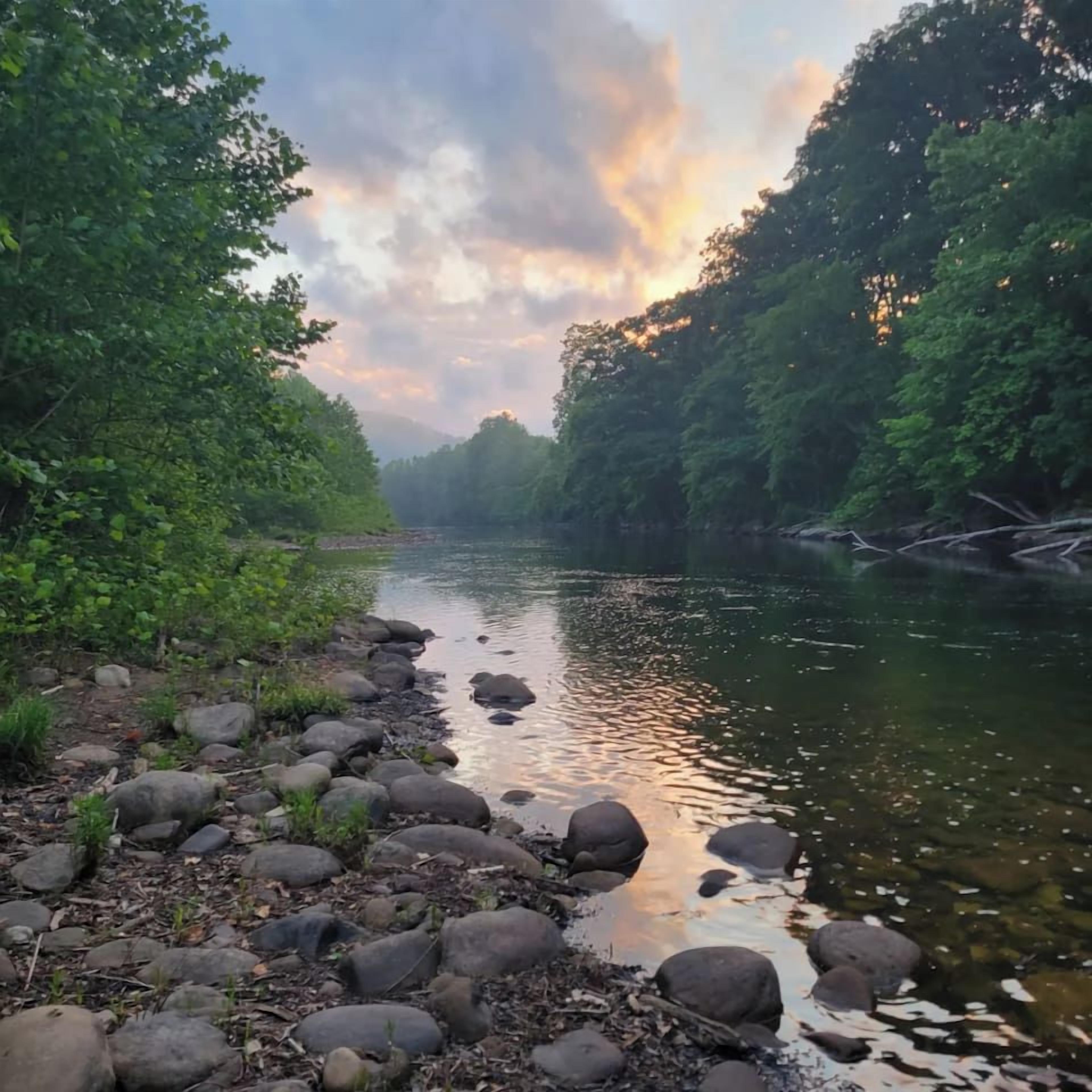 A river with rocks and trees on the banks.