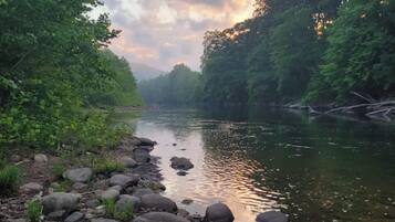 A river with rocks and trees on the banks.