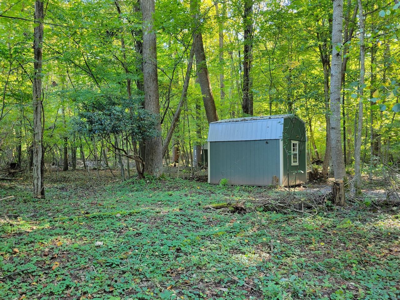 A small, single-story wooden structure in a forested area with a natural ground cover.