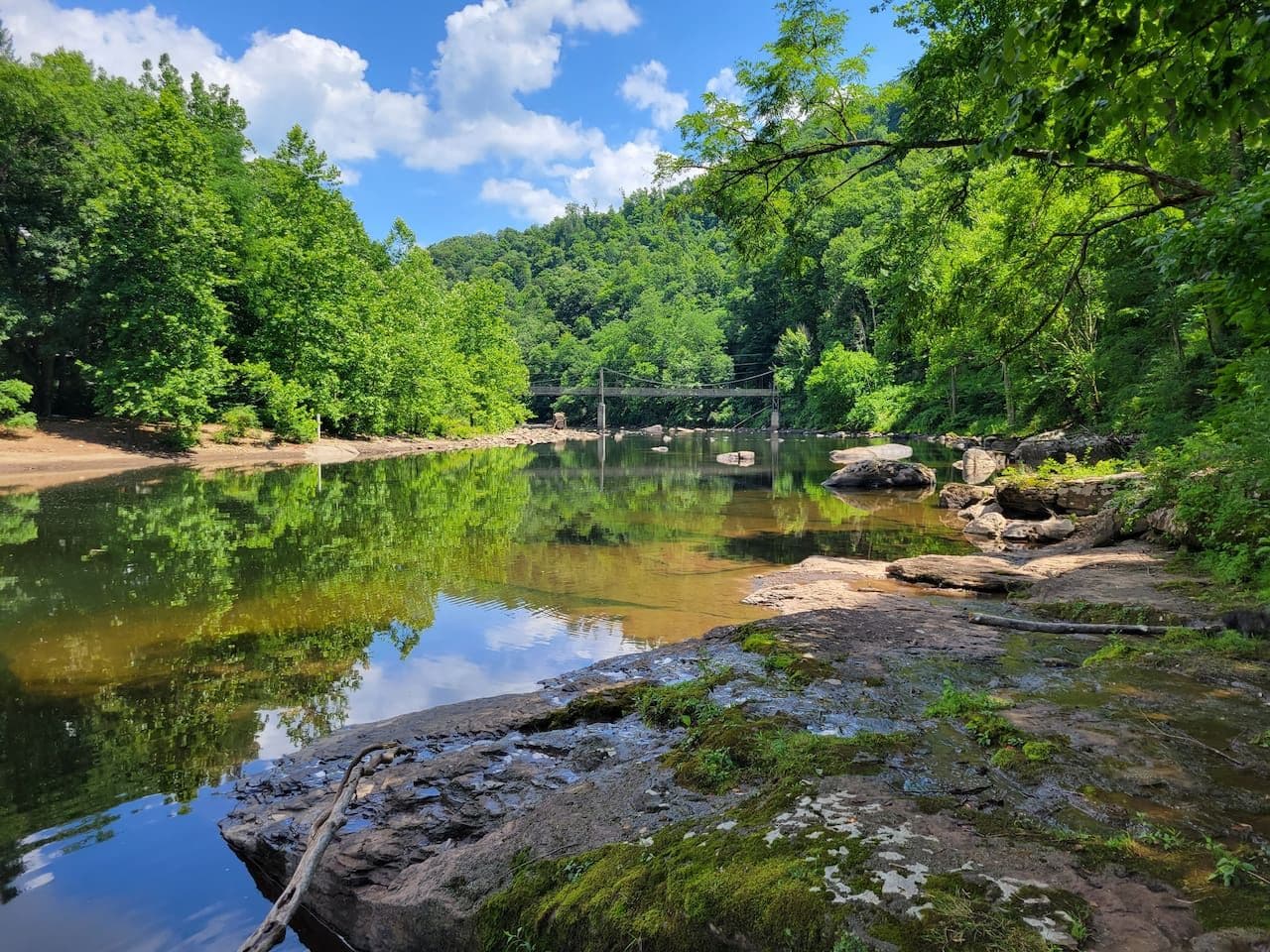 Eine natürliche Landschaft mit einem ruhigen Fluss, felsigem Ufer und dichtem Wald.