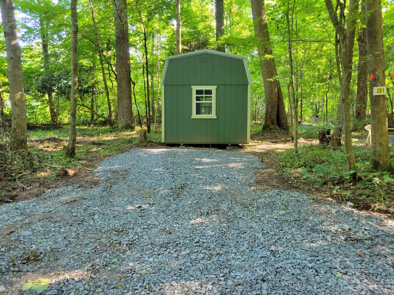 A gravel path leading to a green shed in a forested area.
