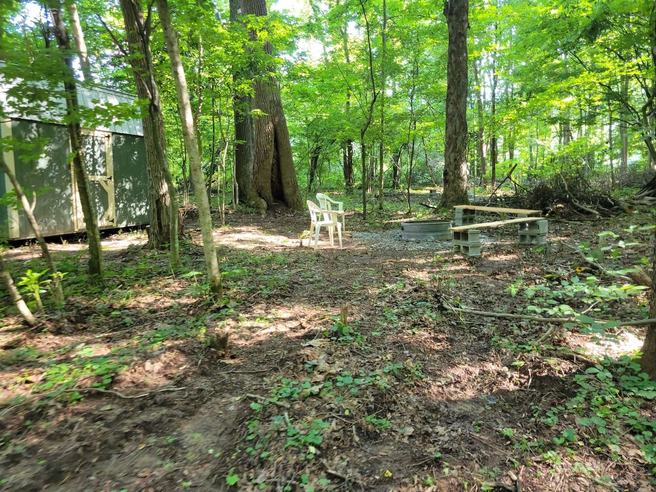A forested area with a bench and a small shed.