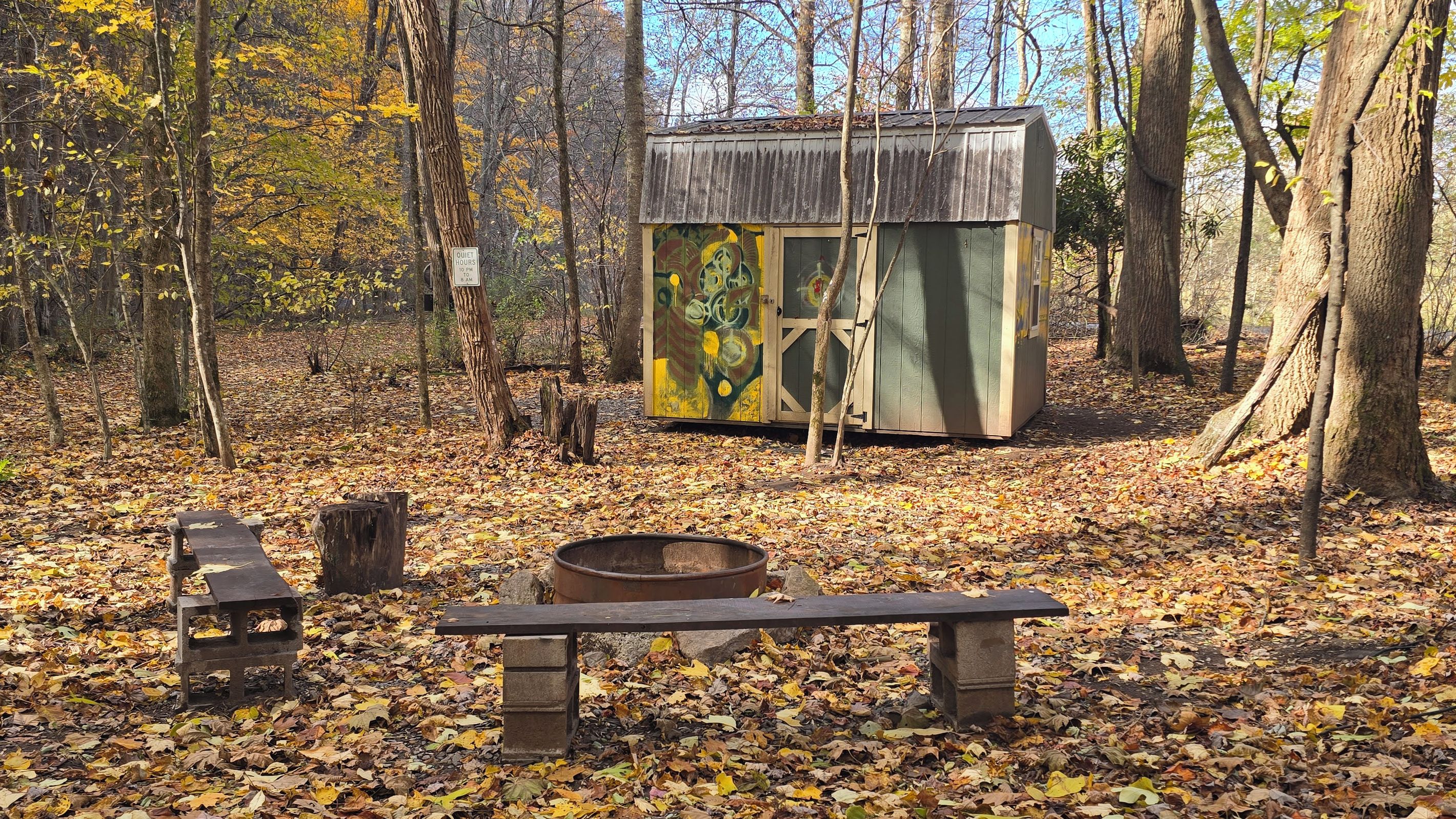 A rustic cabin with a metal roof, surrounded by a forest with fallen leaves on the ground.