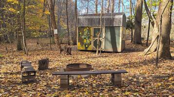 A rustic cabin with a metal roof, surrounded by a forest with fallen leaves on the ground.