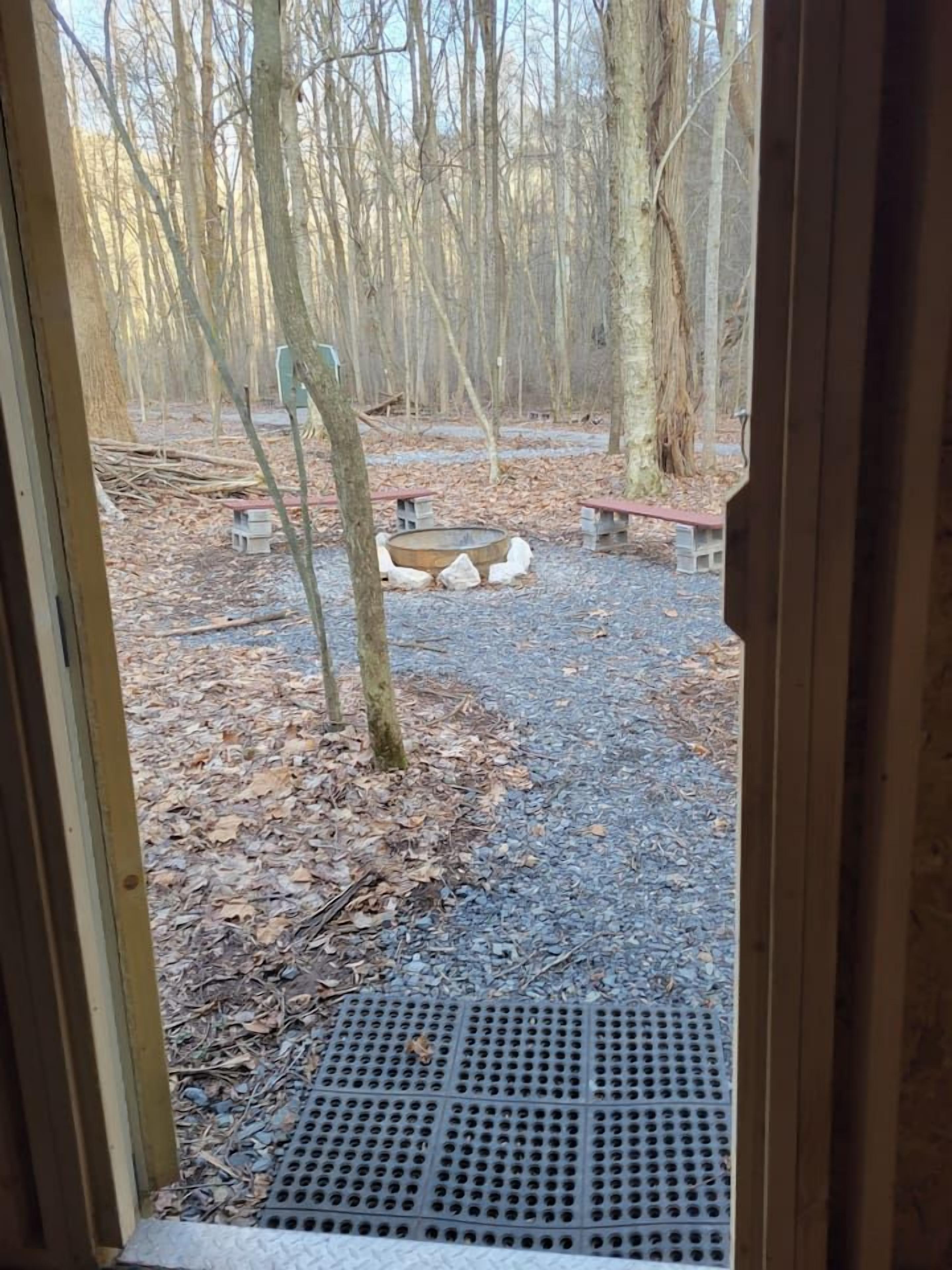 Blick durch eine Tür in ein bewaldetes Gebiet mit einem Schotterweg, Bänken und einem kleinen Teich.