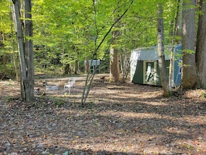 A forested area with a small cabin and a bench.