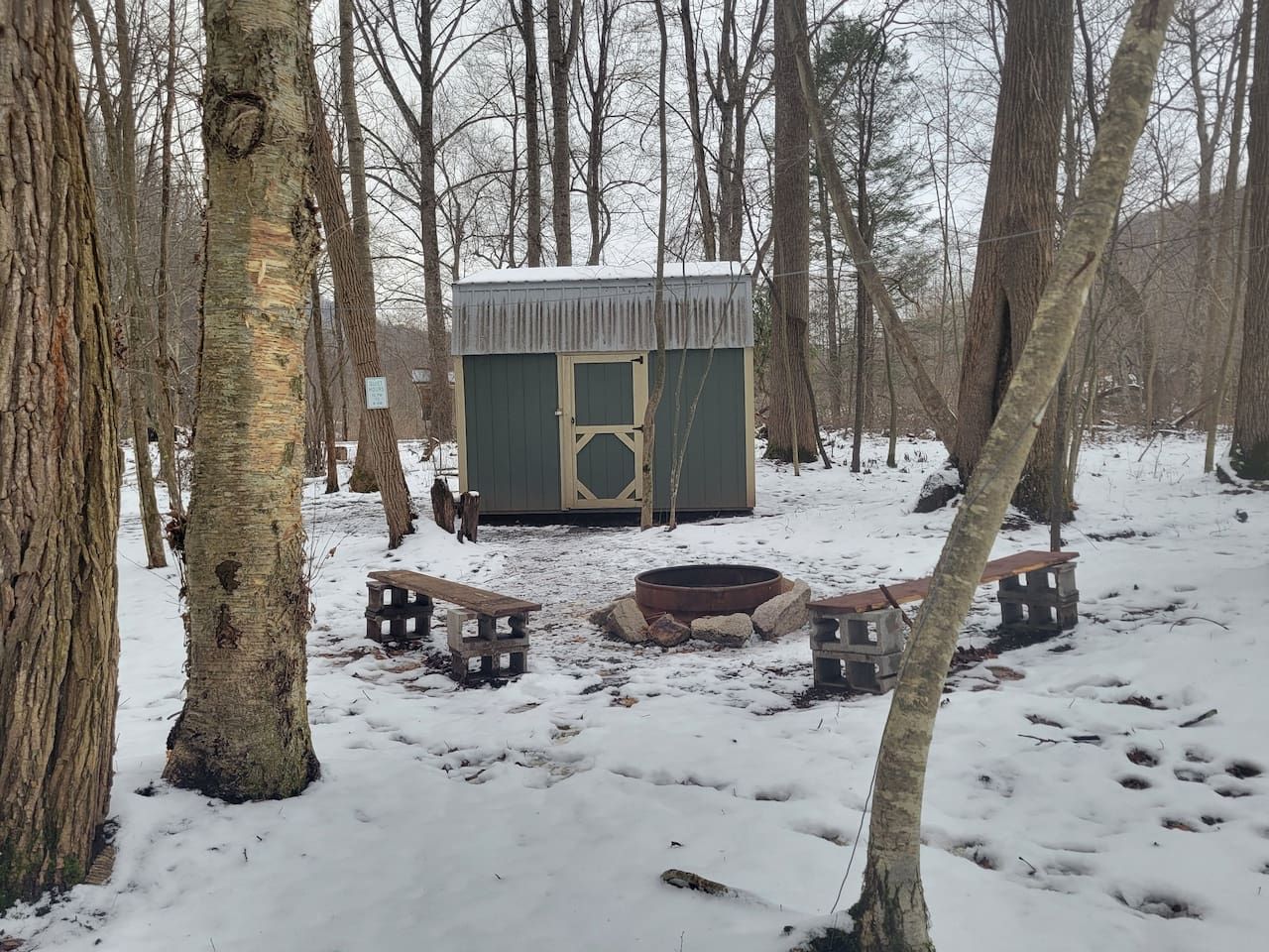 Una baita con un focolare e panche in una foresta innevata.