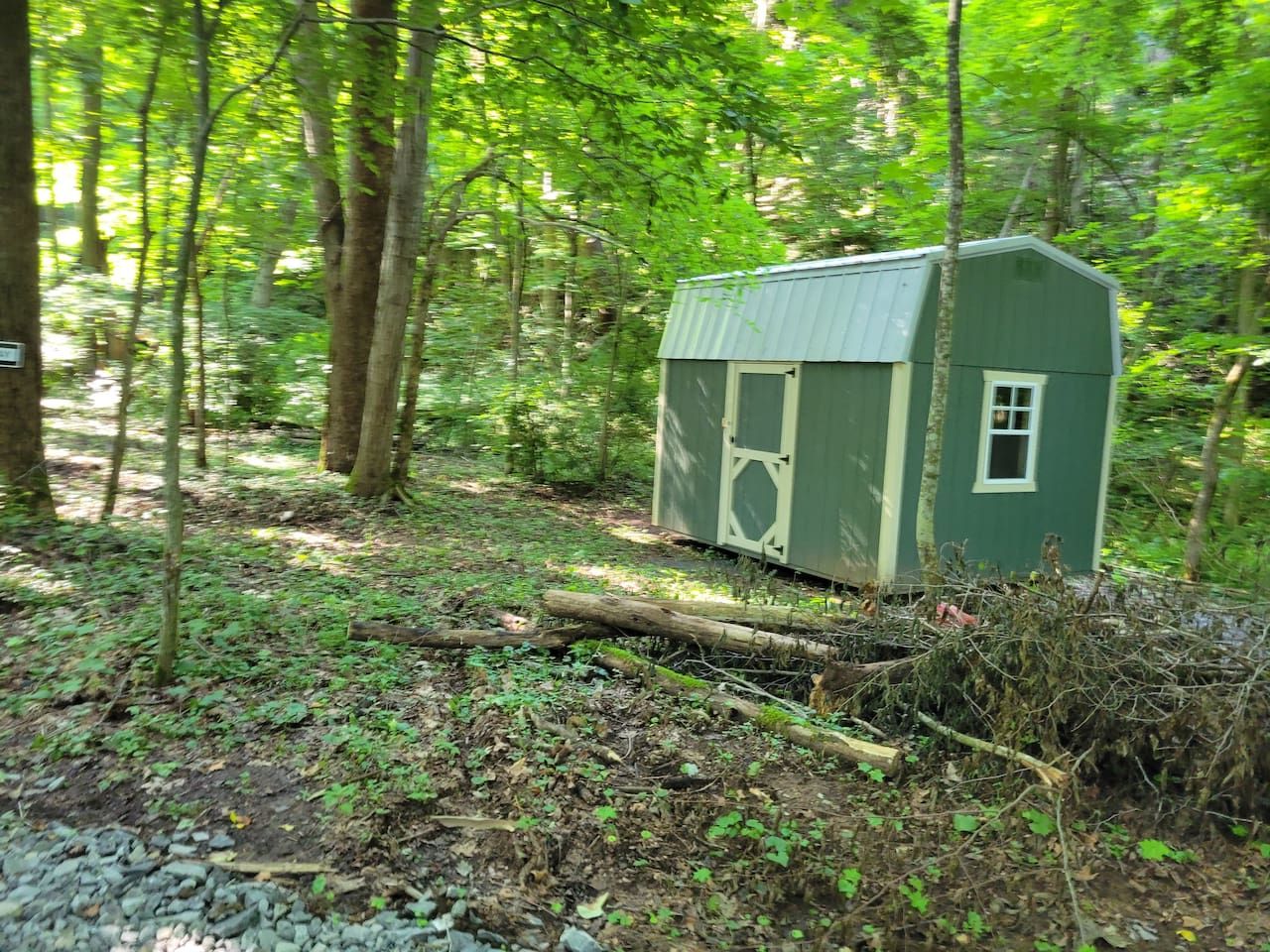 A small, single-story wooden structure with a metal roof, surrounded by a forested area with dense trees and underbrush.