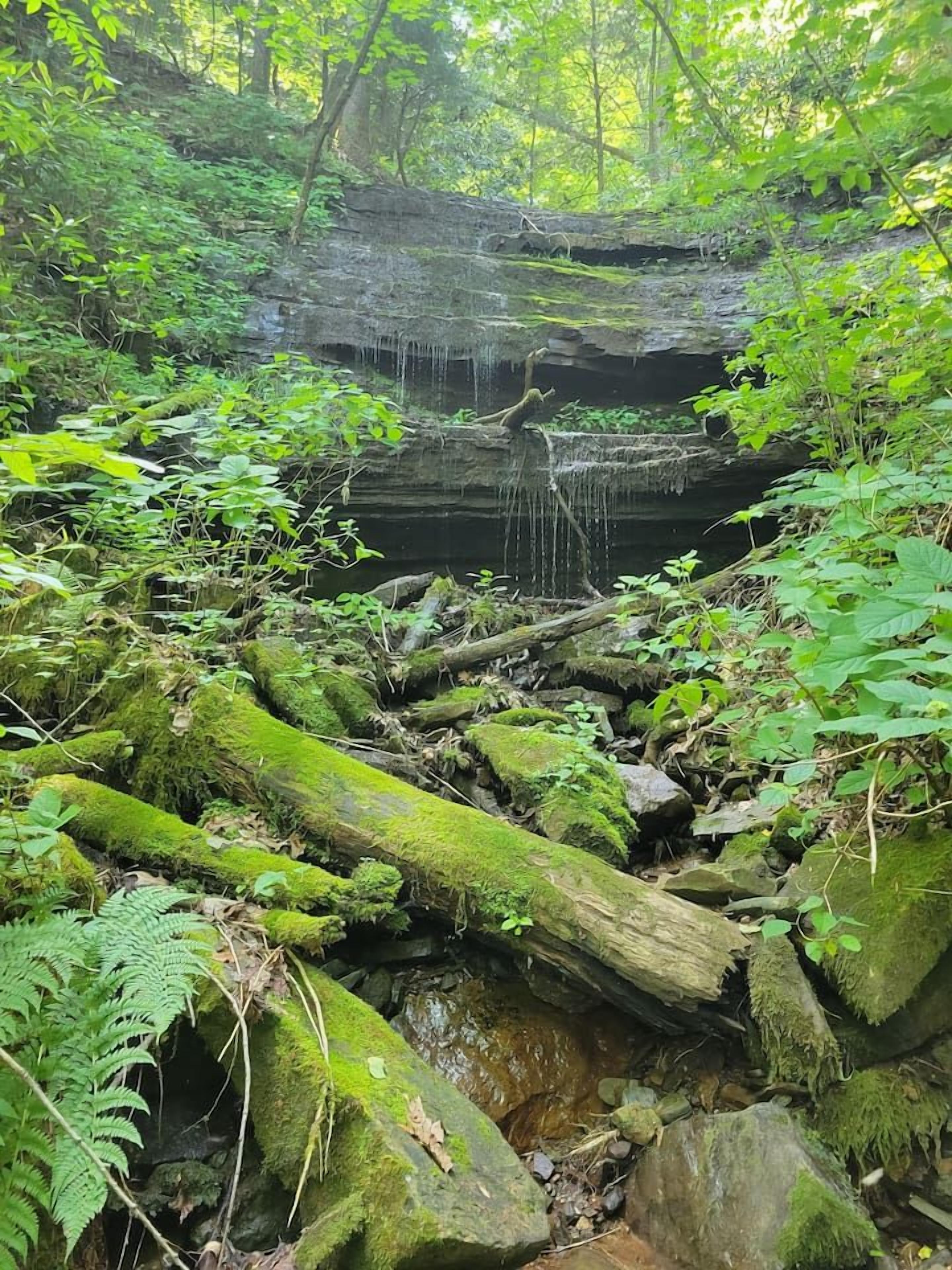A natural landscape with a waterfall, dense greenery, and moss-covered rocks.