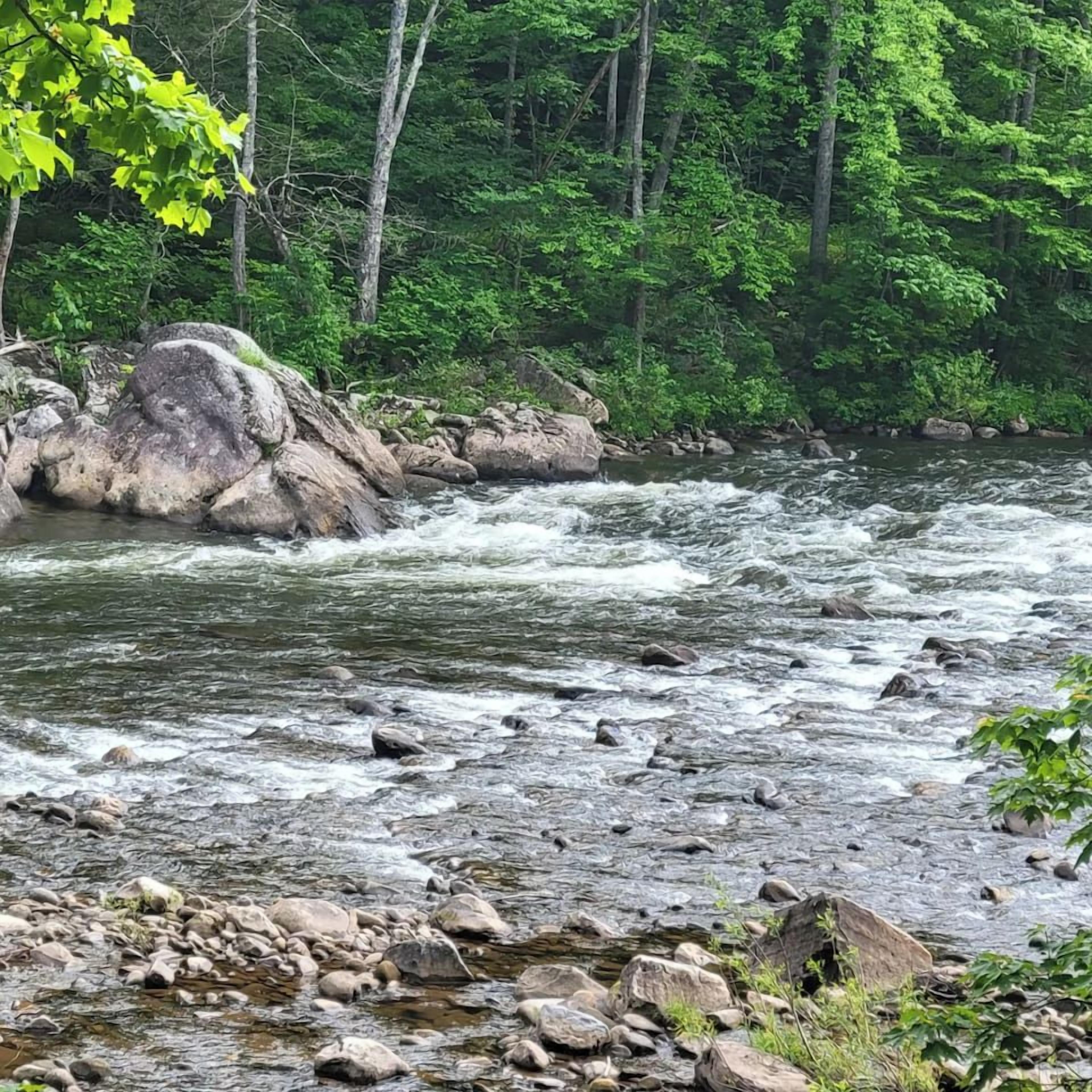 A river flowing through a rocky terrain with dense green foliage in the background.